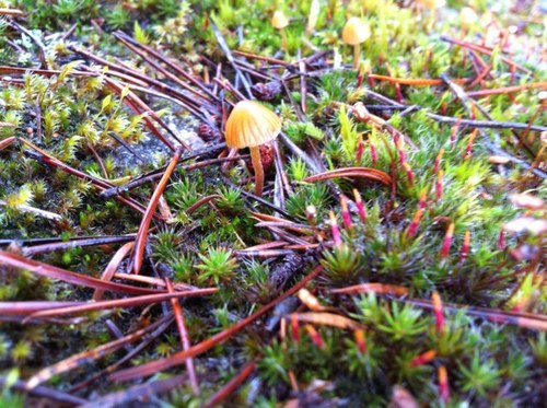 wielermark's profile picture. 