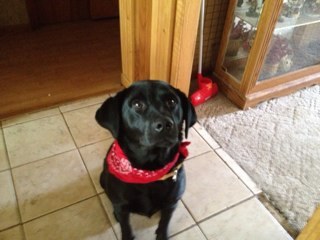 jodiwelday's profile picture. 