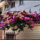 Andrea Steven - @AndreaSteven990 - Twitter