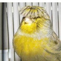 sawd sswd (@sawdsswd) 's Twitter Profile