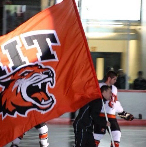 @RITMHockey color commentator on @WITR897 and @FoxSports_1280.  RIT Tigers Baseball and Softball PxP pinch hitter.