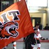 MattRCampbell's profile picture. @RITMHockey color commentator on @WITR897 and @FoxSports_1280.  RIT Tigers Baseball and Softball PxP pinch hitter.