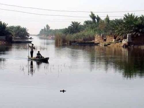 human rights activist
Email: dahimi.ahwaz@gmail.com