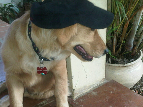 joseAGONZ's profile picture. 