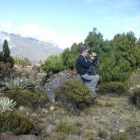 nabor zambrano (@zambranonabor) 's Twitter Profile Photo nabor zambrano (@zambranonabor) 's Twitter Profile Photo