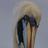 arriagada_claud's profile image
