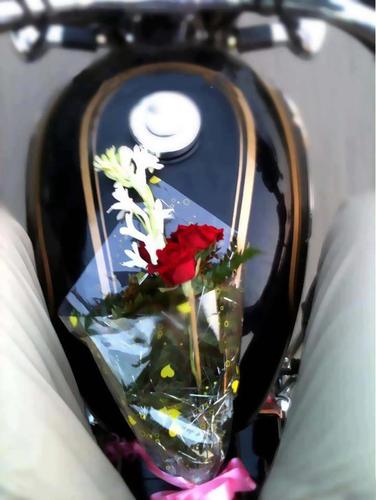 b49044945's profile picture. 