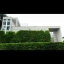 Lucas Andreas - @LucasAndreas995 - Twitter