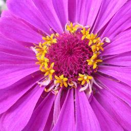 aleksey7280's profile picture. Домашний очаг, кулинария, рецепты - моменты жизни, жду в гости на http://t.co/u1zS5kTbPs