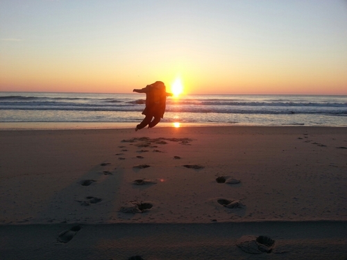 sereniebeaniex3's profile picture. 