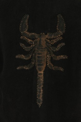 johnnie_storm's profile picture. SOLDIER