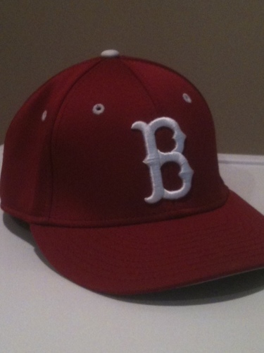 Official Twitter account for Ballard High School Baseball. Louisville, KY. Go Bruins!