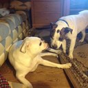 Roger rayburn - @Lockmetal63 - Twitter