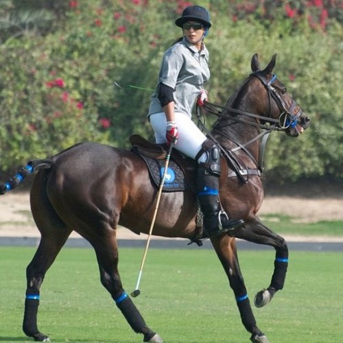 https://t.co/ttf0y9KPuV.Maytha Mohammed Rashed Al Maktoum ميثاء محمد راشد آل مكتوم MMRM Olympian, Martial Artist & Equestrienne.