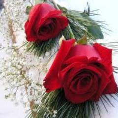 Flower is the best way to show our emotions and your feelings. The flower is a pure and beautiful creation of Nature. We provide online service.