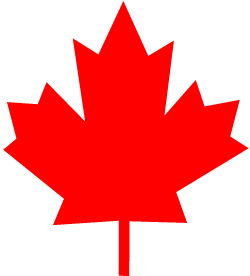 Bill Heald, owner of Maple Leaf Motors is a used car dealer that has been in business for over 30 years. Everybody drives a used car.