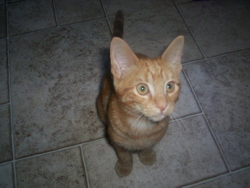 WendyPogrant's profile picture. 