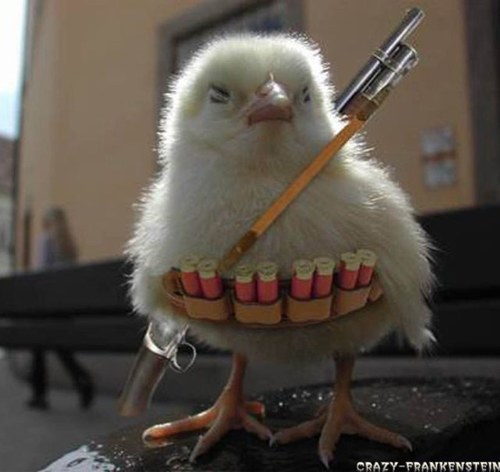 Futurize123's profile picture. 