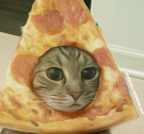 PIZZACAT_PARTY's profile picture. PIZZA CAT