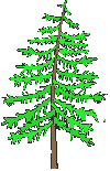 Green Tree Event Consultants provides quality event services.