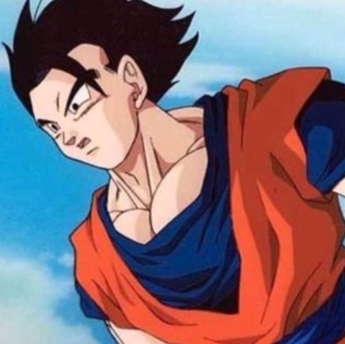 GohanSon_'s profile picture. Hi my name is Gohan im son of Goku and Chi-Chi and my little brother is Goten :)