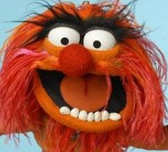 dforbes75's profile picture. Work at norscot joinery and Moray security