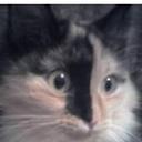 MacLuck - @mrMacLuck - Twitter