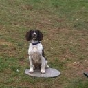 Jon lane - @Elvy999 - Twitter