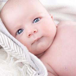 http://t.co/JgM3CChU6S
Portret, studio, locatie fotograaf
Bruidsreportage, Dieren, Zwangerschap, Portret, Stelletjes, Groepen, New born en kinderen