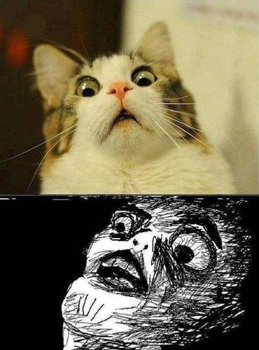 PSYCHO?!