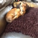 sandra galbraith - @sandragalbraith - Twitter