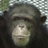 peteg1013's profile image