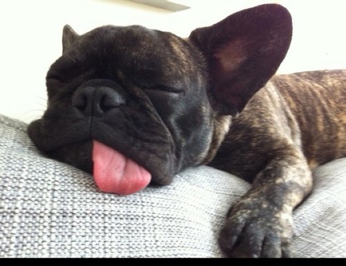 evaijung's profile picture. 