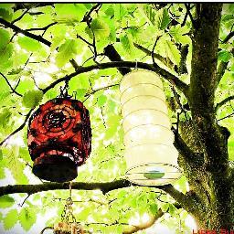 #GARTENIDYLLE  #GARTENPARADIES  #CITYGUIDEGARTEN