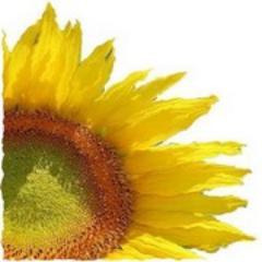 OURCHOICEITALY's profile picture. Un viaggio tra sapori, odori e colori della Toscana.
Tuscany E-Commerce. Enjoy Your Wine
Facebook: http://t.co/XoOsQqi658
Google+: http://t.co/xpDdp99i9t