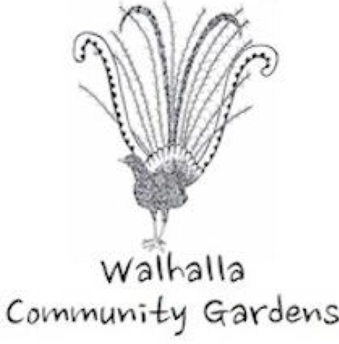 A small not for profit group of volunteers gardening in Walhalla to keep it looking beautiful.