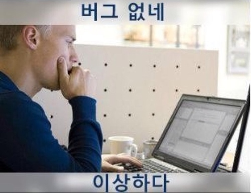 프로그래머/게임/만화/애니/먹는거