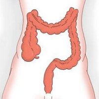 Colorectal Surgeon(@colo_surgeon) 's Twitter Profile Photo