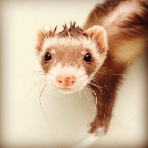 stormattitude's profile picture. I'm a free man