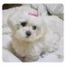 그냥 그냥 (@conatus22) Twitter profile photo