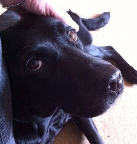 don141284's profile picture. 