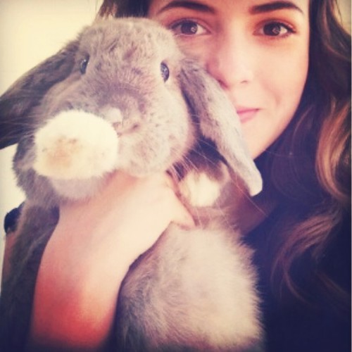 Appeljuice, rabbits, dancing and music.