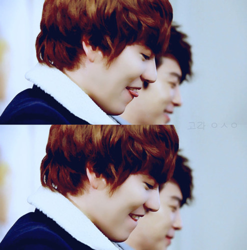 Without agency | 88 line I Evil magnae Kyu, Lead vocal and Lead dancer from Super Junior...