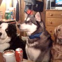 Ted Newhouse - @tednewhouse - Twitter