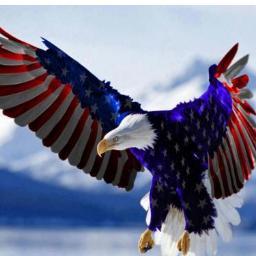 GodFamCntry's profile picture. God, Family, Country