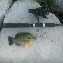 Dustin Bellinger - @BaitTheHook - Twitter