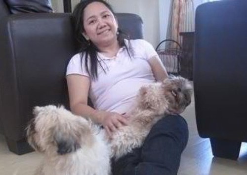 jheng0730's profile picture. 