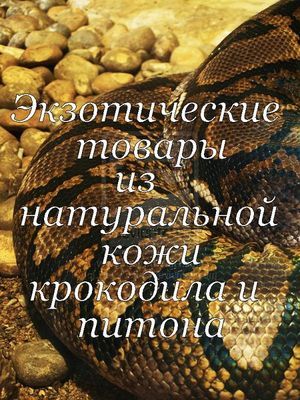 Хотим предложить Вам товары из натуральной кожи питона и крокодила! ручной работы! 

ВСЕ наши товары имеются в наличии.
Также мы принимаем заказы!