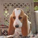 Donna Rowland - @drowla56 - Twitter