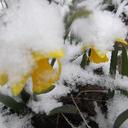 Maggie & Brian - @MagOsborn - Twitter